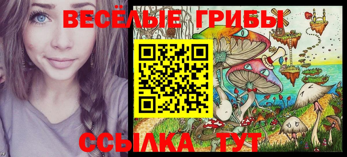 Галлюциногенные грибы ЛСД Мытищи