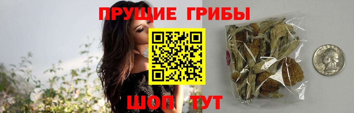 Мытищи  Псилоцибиновые грибы MAGIC MUSHROOMS  Псилоцибиновые грибы Psilocybe  Вход с VPN 